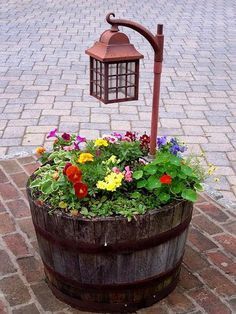 Check out this amazing landscaping idea for a backyard or front yard