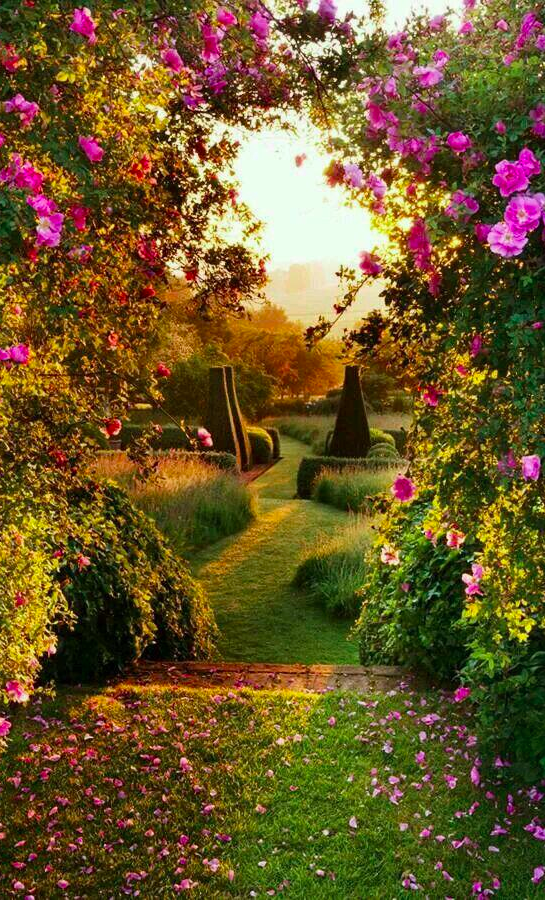 Dawn light on the parterre at Pettifers Garden in North Oxfordshire, England • Clive Nichols Garden Photography on Facebook