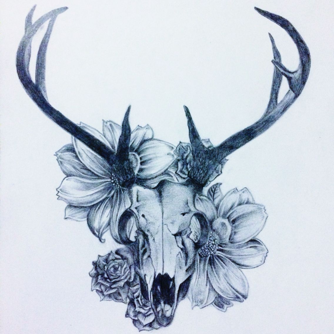 Deer skull & flowers