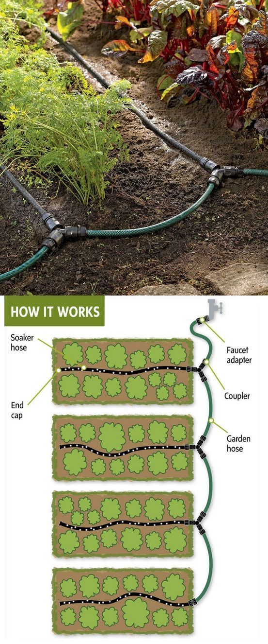 Drip systems for gardens…need to work something like this for the new rose garden at my Florida home…..