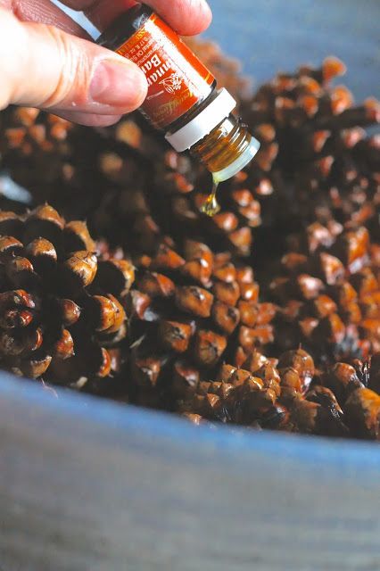 Essential Oils and Pinecones for DIY Cinnamon Pinecones  From Where Your Treasure Is