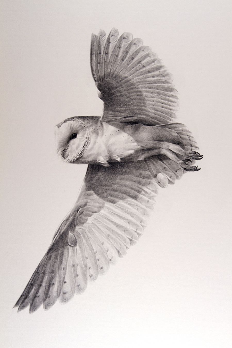 flying barn owl tattoo - Google Search