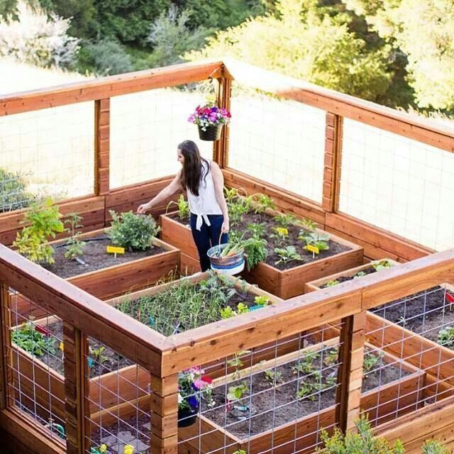 Perfect garden! So want this one day