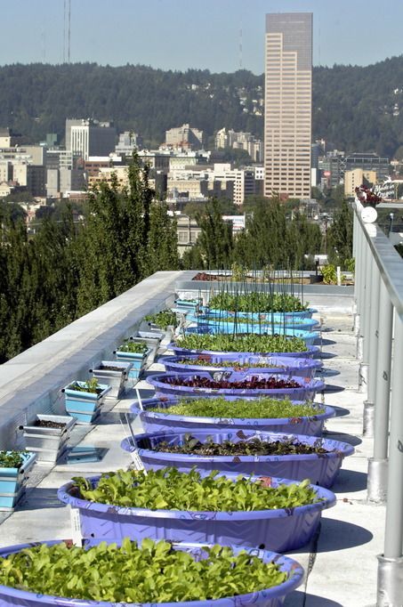 Roof-top pool gardens:     fill a wading pool with vermiculite or gravel to 2 to 4 inches and top with soil mixture. Then drill