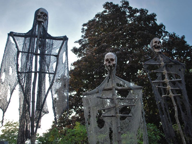 These are called “Blaircrows” – creepy!  May need to make some for our woods.