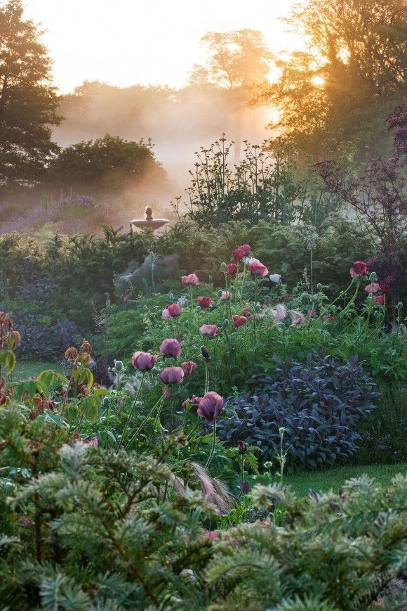 To feel the fog in my throat, the mist in my face.   The garden at Narborough Hall, Norfolk, UK