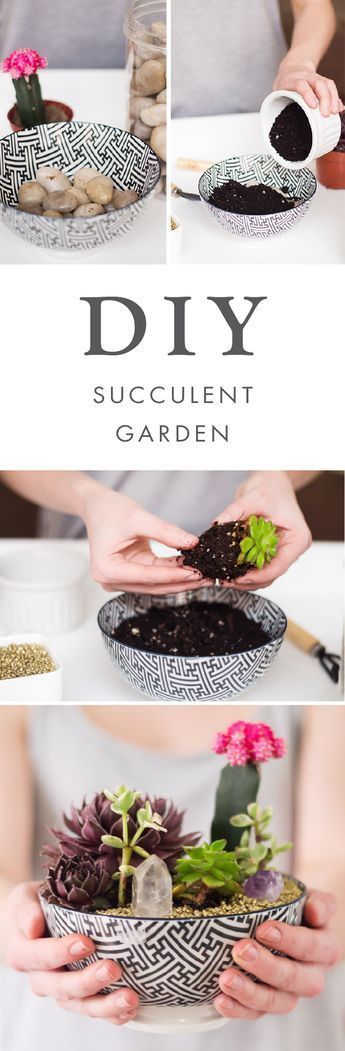 When you add trendy plants to modern home decor idea what do you get? This super simple DIY Succulent Garden project! Choose your