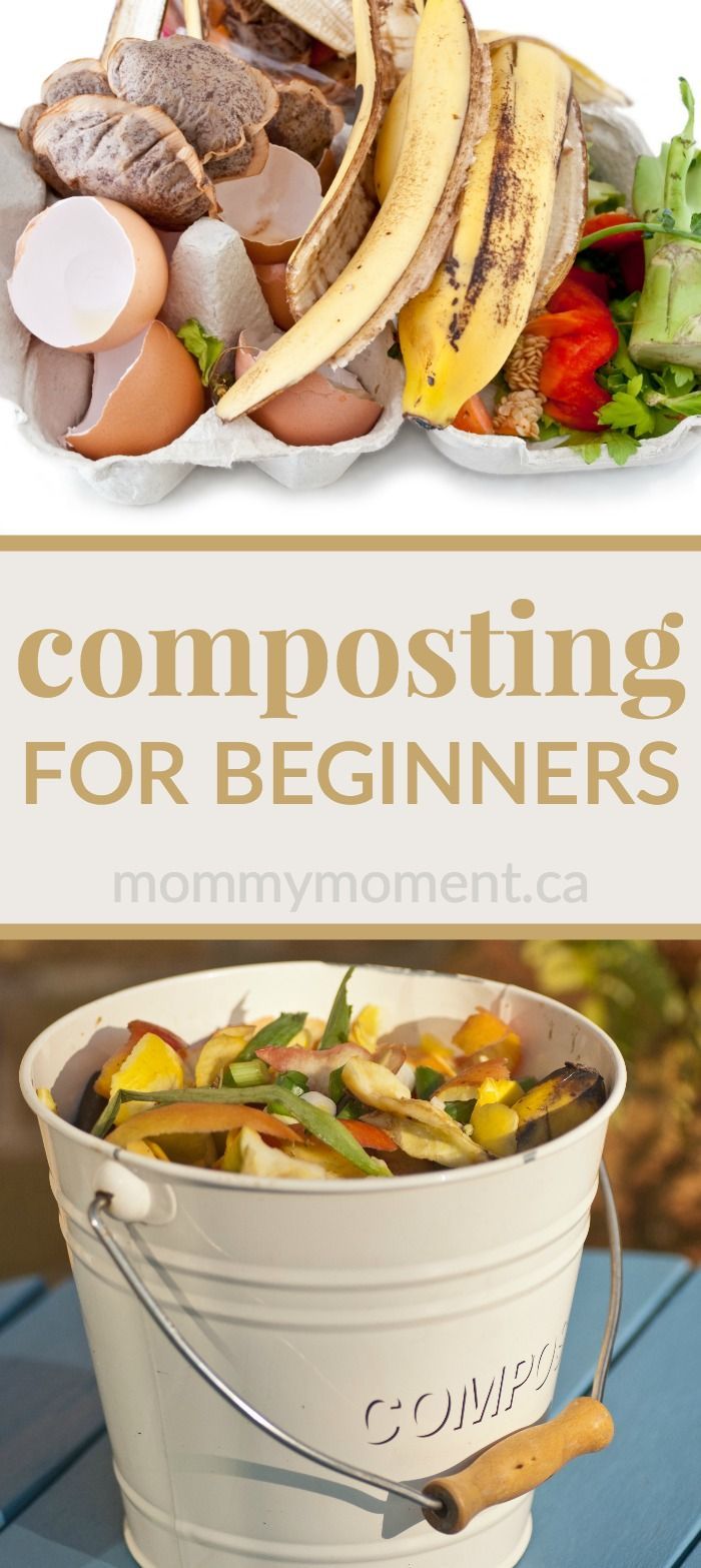 COMPOSTING FOR BEGINNERS – find easy tips & tricks and answers to all your composting questions!