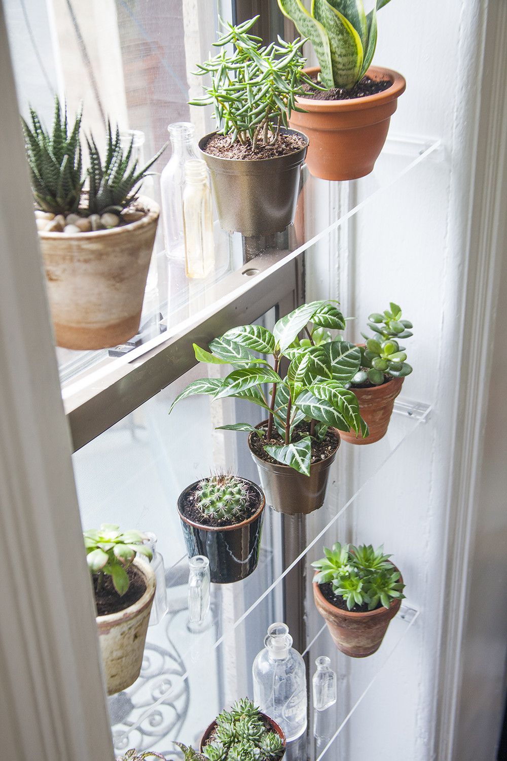 These DIY Floating Window Shelves are the perfect way to display your plants and ensure they get enough sunlight!