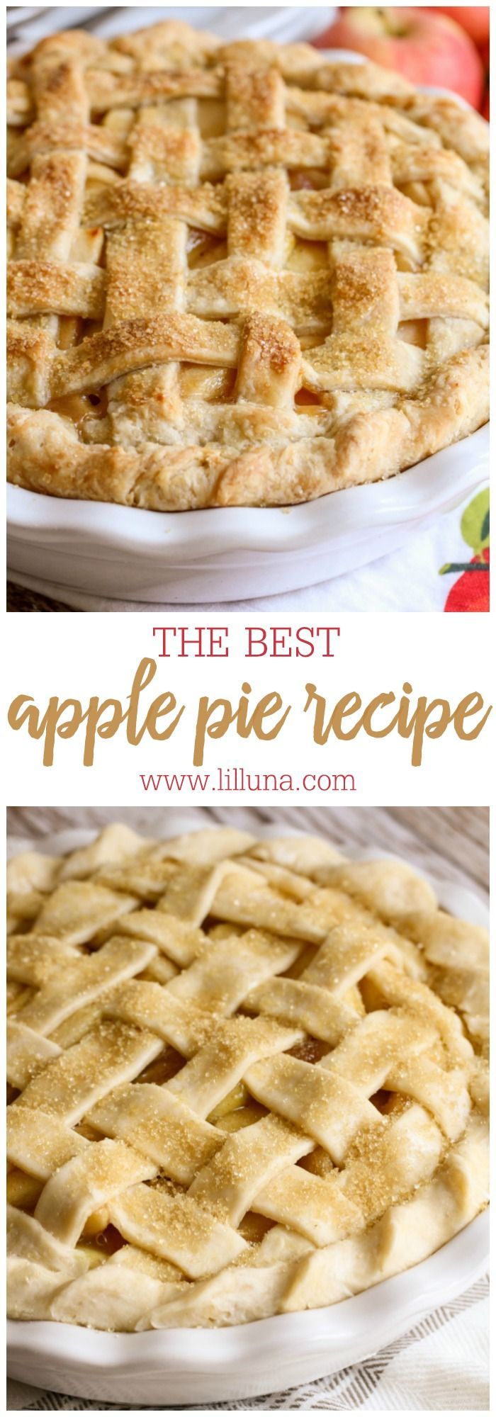 The BEST Homemade Apple Pie recipe - the crust is so flaky and delicious and the apple filling is so YUMMY!! -   21 baking recipes pie
 ideas