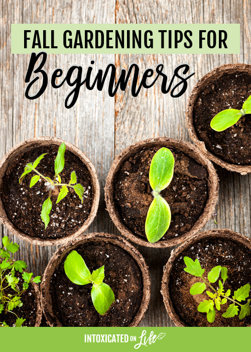 Fall Gardening Tips for Beginners -   23 fall garden quotes
 ideas