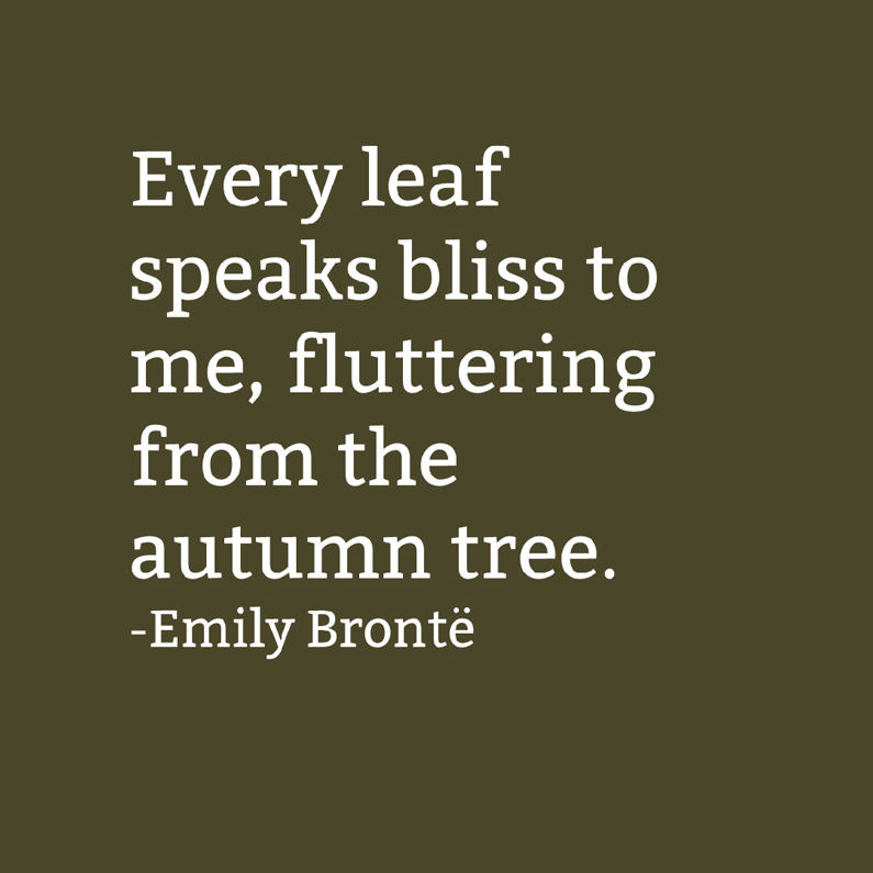 Quote About Autumn by Emily Bronte -   23 fall garden quotes
 ideas