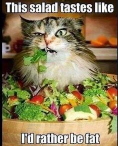 Fit Mama to 3: Advocare 24 day challenge clean eating taco salad. Diet meme, funny fitness, diet humor. This salad tastes like I's rather be fat. -   23 fitness pictures clean eating
 ideas