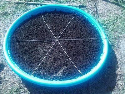 pretty awesome, use a kiddie pool to start a pizza garden with your kids, section it out and plant with veggies/herbs that you like on pizza. -   25 city garden kids
 ideas