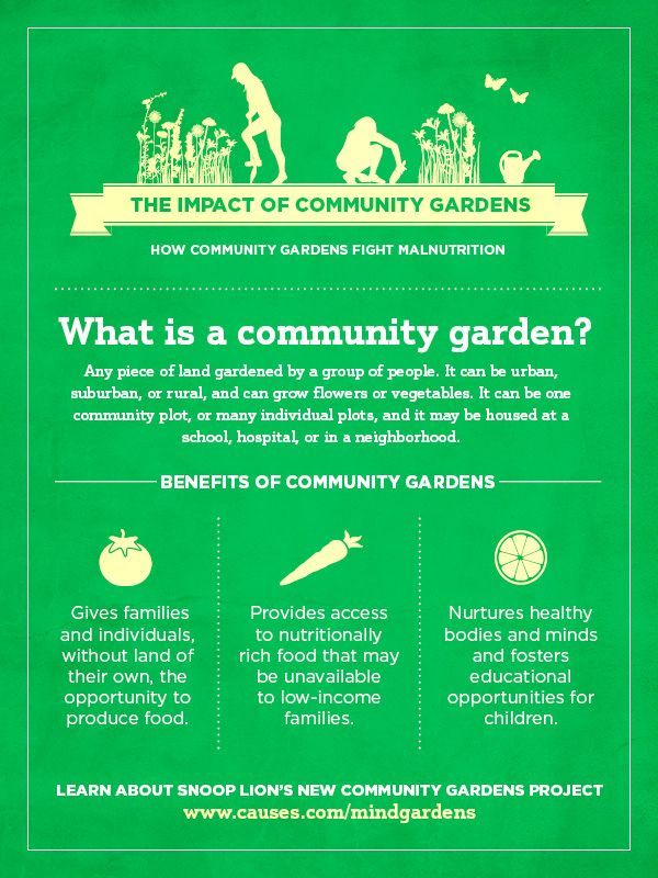 Access to healthy foods should be a right not a privilege. That's exactly why Snoop Lion started the Mind Gardens Project, a nonprofit dedicated to creating community gardens to give kids in impoverished neighborhoods access to healthy fruits and vegetables. Community gardens have been shown to reduce hunger, build communities, provide income, and help the environment. But most importantly, gardens provide nutritious food that nurtures both the body and the mind. -   25 city garden kids
 ideas