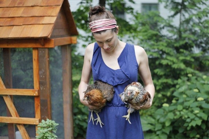 Modern Farmer: 9 Backyard Gardens with Chickens -   25 city garden kids
 ideas