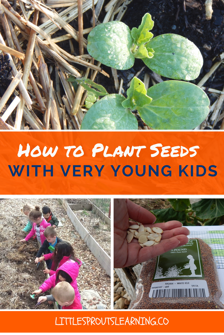 How to Plant Seeds with Very Young Kids -   25 city garden kids
 ideas