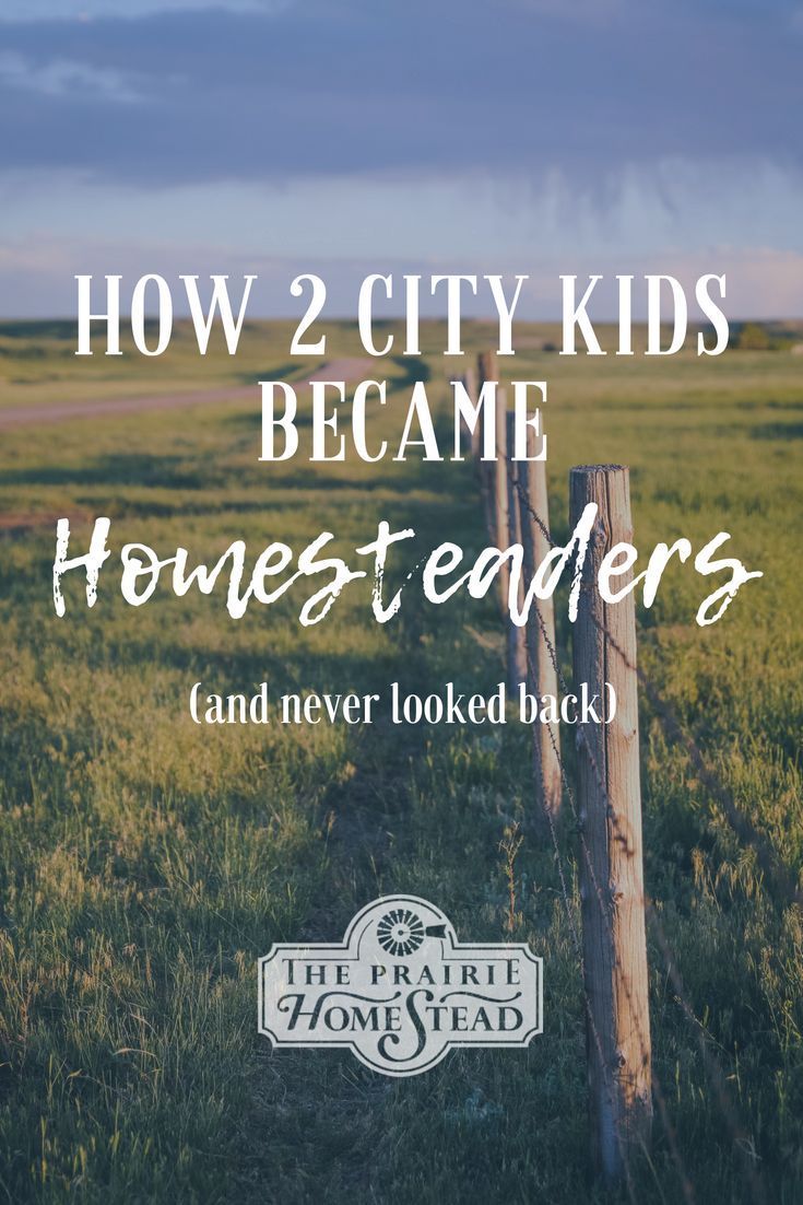 How Two City Kids Became Homesteaders -   25 city garden kids
 ideas