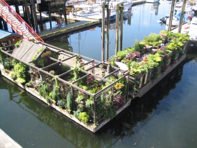 Problem solved...floating garden -   25 floating garden water
 ideas