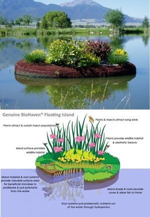 Cleaning Wastewater with Floating Island Technology. Take a floater planter made from post consumer plastic add soil & plants and time = clean water. -   25 floating garden water
 ideas