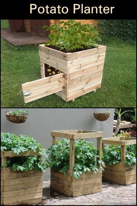 Eight and a half 'no dig' ways to grow the humble spud! -   25 garden decking inspiration
 ideas