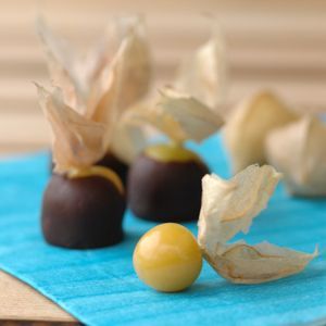 How To Grow Hundreds Of Ground Cherries -   25 ground recipes link
 ideas