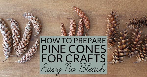 How to Prepare Pine Cones for Crafts -   25 pinecone crafts for children
 ideas