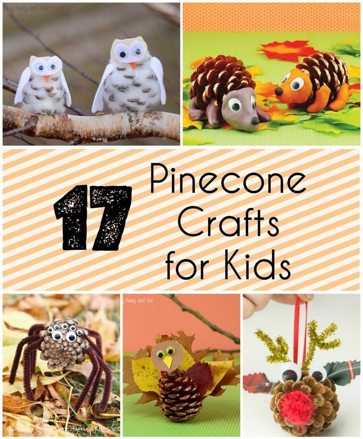 17 Pinecone Crafts for Kids -   25 pinecone crafts for children
 ideas