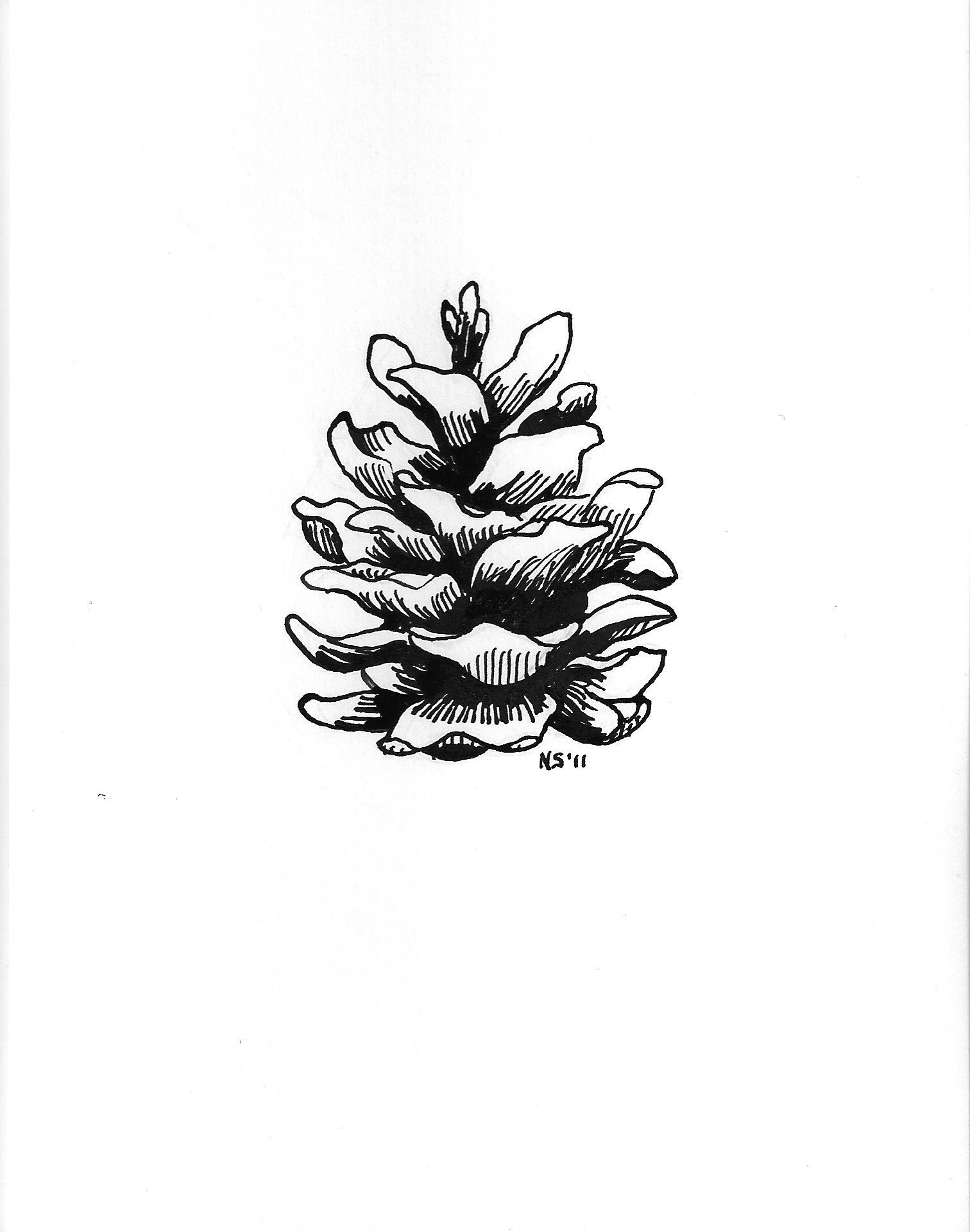 Pinecones -   19 tattoo family drawings
 ideas