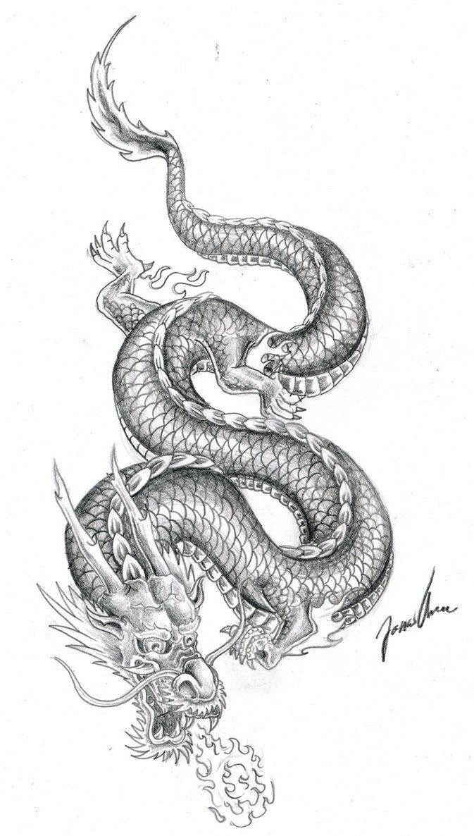 this one looks a bit better than the first, but im still making the shells to small. -   21 dragon tattoo sketch ideas