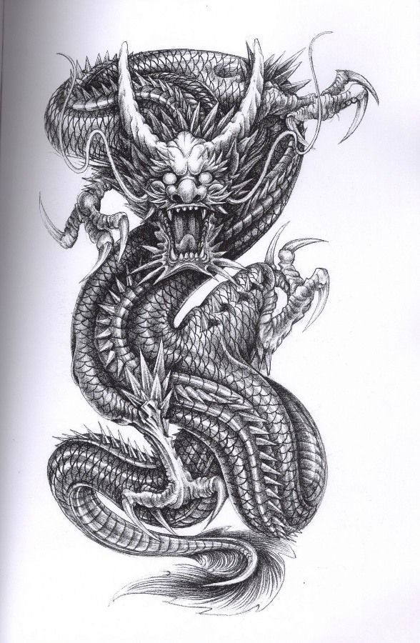 Drawn chinese dragon japanese dragon #1h -   21 dragon tattoo sketch ideas