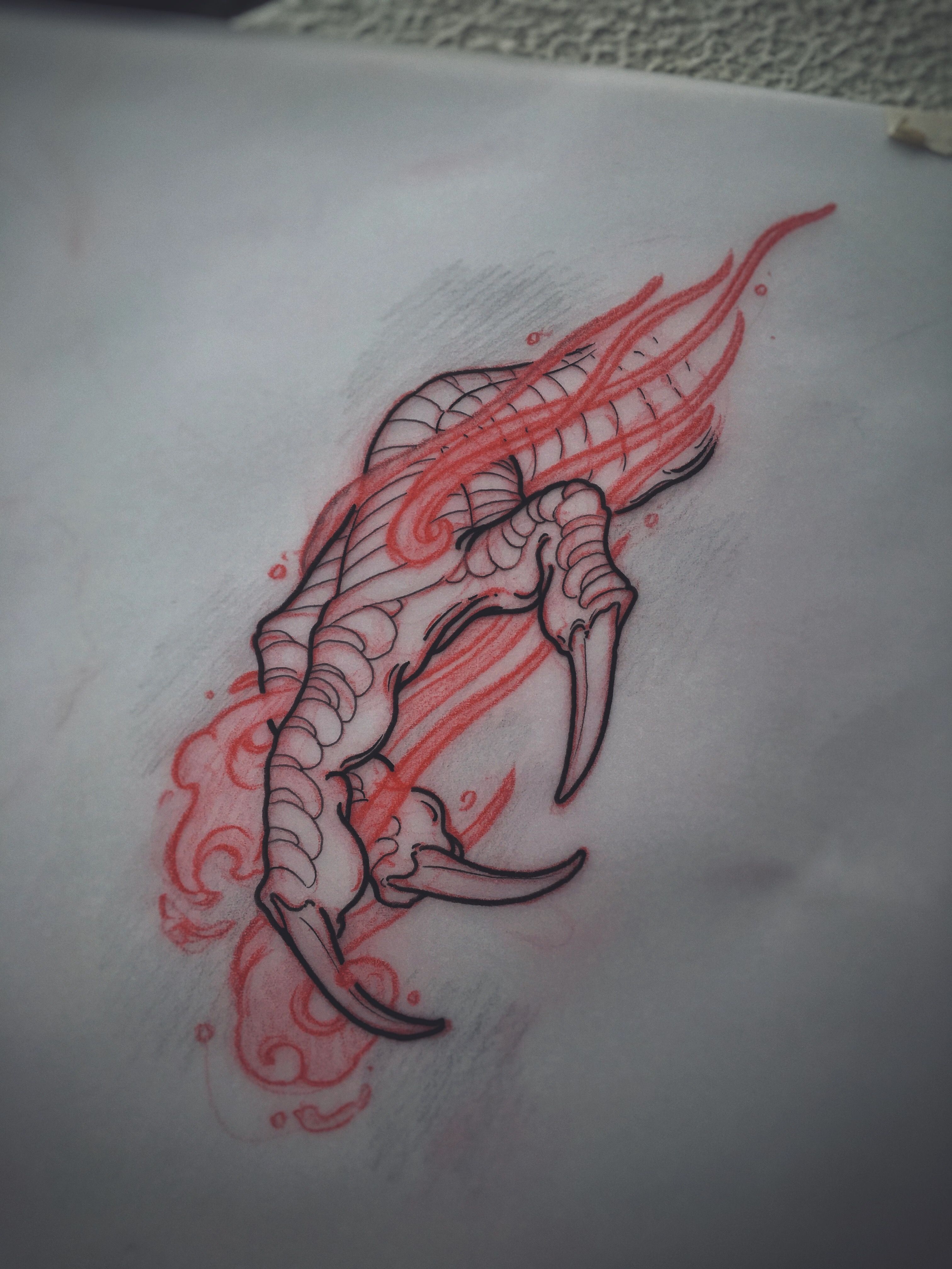 Dragon claw sketch by Akos ( Perth, Australia) -   21 dragon tattoo sketch ideas