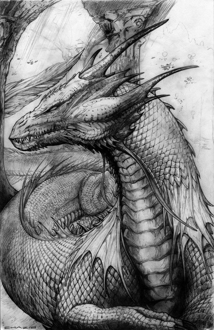 On point tattoos -   21 dragon tattoo sketch
 ideas