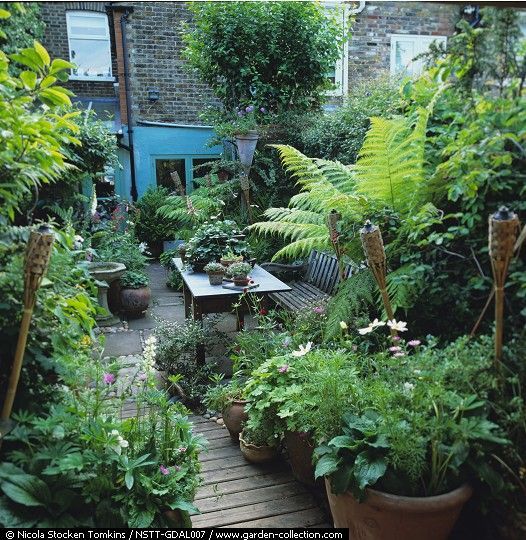 How I Bring Myself Joy: Container Gardening -   21 lush courtyard garden
 ideas
