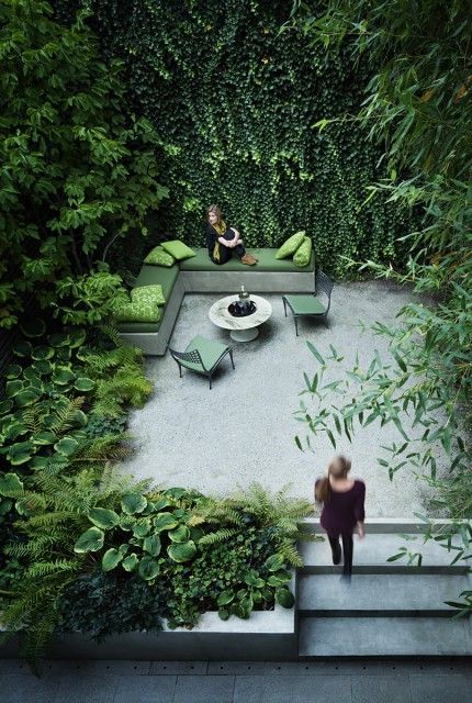 Vertical Garden cul de sac. -   21 lush courtyard garden
 ideas