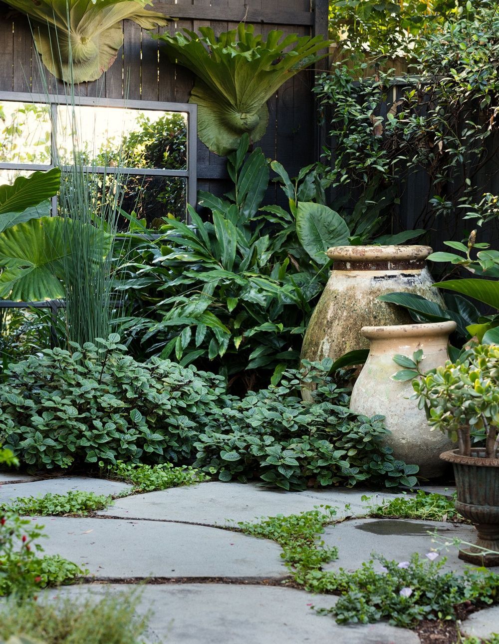 A Florist's Lush Inner City Garden -   21 lush courtyard garden
 ideas