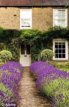 Maximum joy, minimum fuss: How to create a low-maintenance front garden -   22 cottage front garden
 ideas