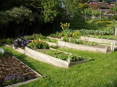 This is basically how I am going to attempt to transform my hillside into a veggie garden. Wish me luck as I have lots of work to do! -   22 garden beds on a hill ideas