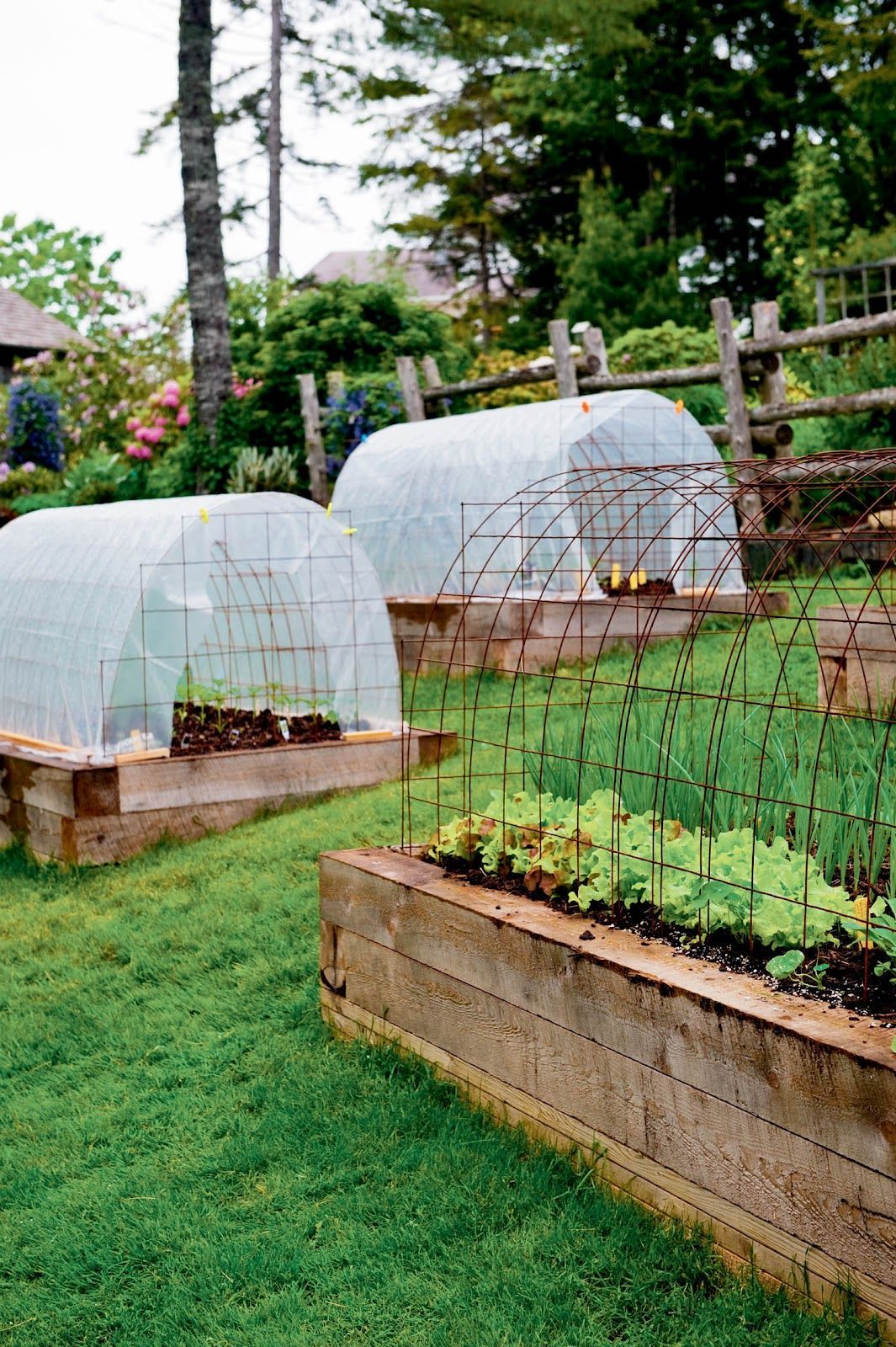 Niki Jabbour - The Year Round Veggie Gardener: Mini Hoop Tunnels in Summer -   22 garden beds on a hill ideas