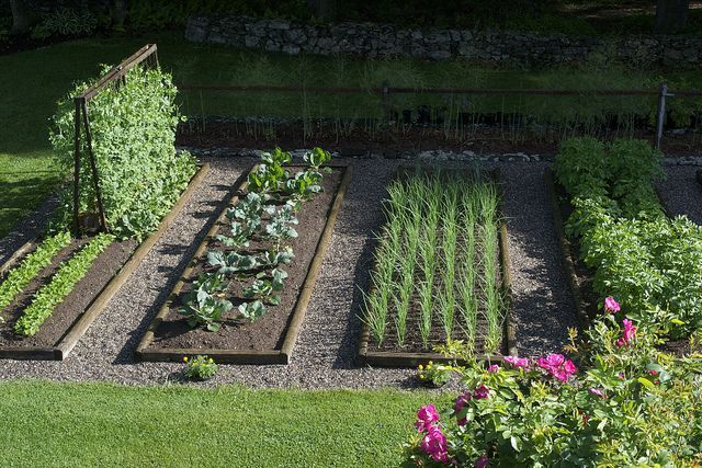 22 garden beds on a hill
 ideas