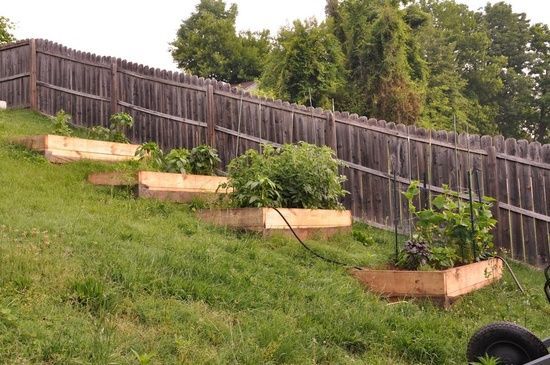 raised garden beds on a hill. Some of the space closest to the school is inclined so this might be what we have to do. -   22 garden beds on a hill ideas