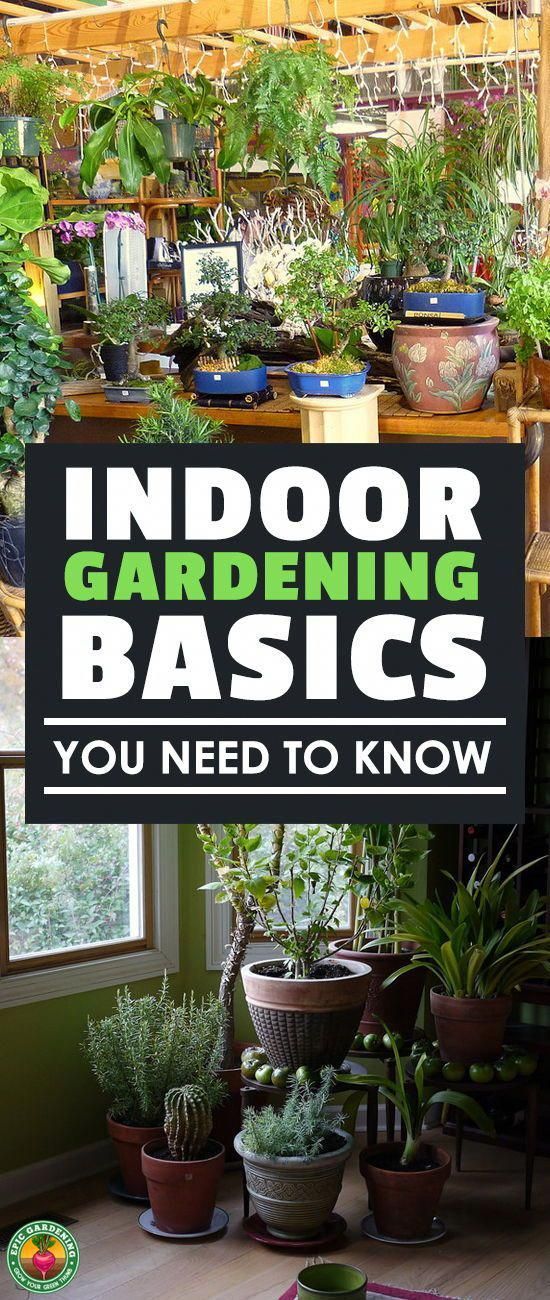 If You're Just Getting Into Indoor Gardening, Read This -   22 garden diy how to grow
 ideas