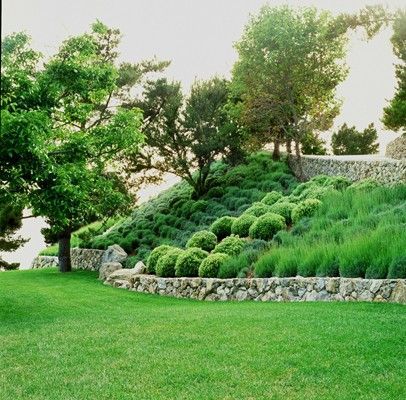 Big Sur garden by Blasen Landscape Architecture -   22 modern garden slope ideas