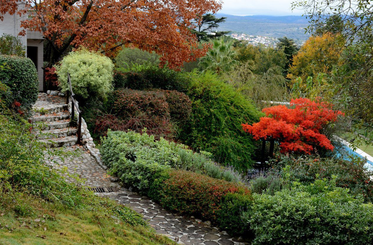 Choosing Plants For Sloping Areas – What Plants Grow On Slopes -   22 modern garden slope ideas