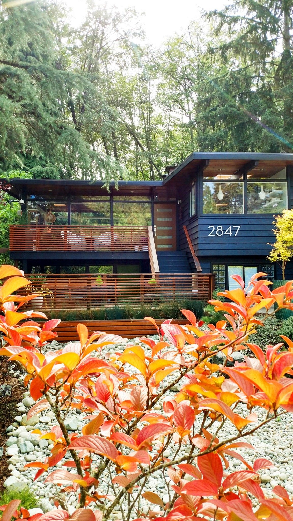 This couple made the outdoors the main focus in their 1958 John Burrows house, from the large, picture windows to the natural wood details. -   22 retro style house
 ideas