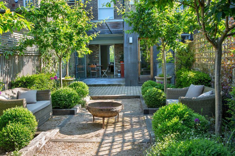 Chairs with cushions around brazier in small urban garden, clipped box balls, Mespilus germanica -   22 urban garden fence
 ideas