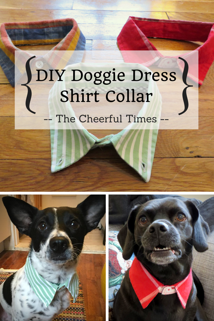 DIY Doggie Dress Shirt Collar -   23 diy shirts collar
 ideas