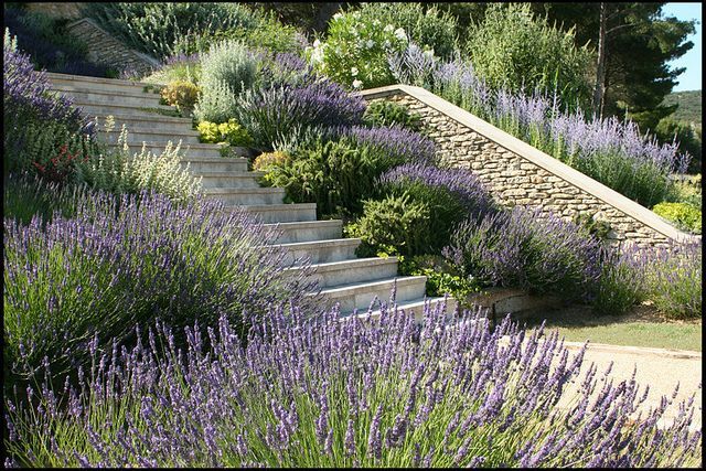 Terraced Garden in Provence -   23 terrace garden steps
 ideas