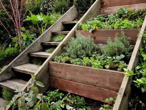 23 terrace garden steps
 ideas