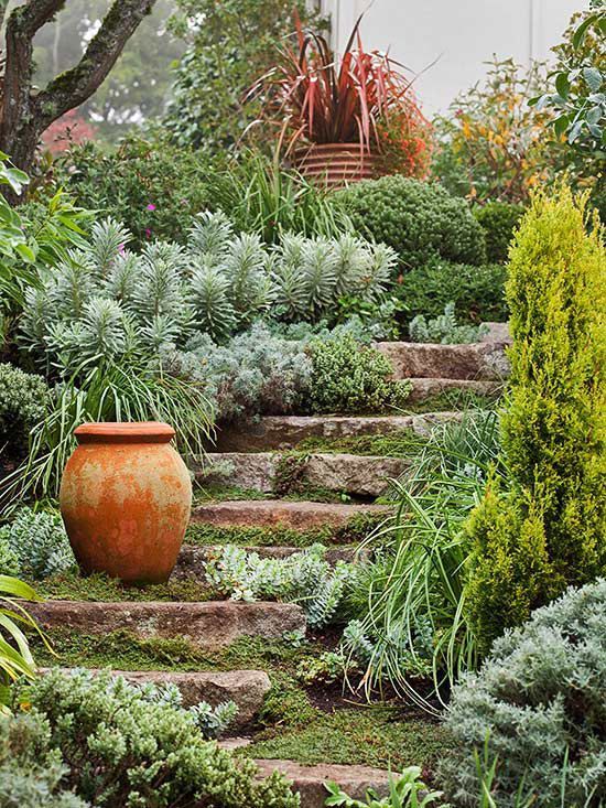 23 terrace garden steps
 ideas